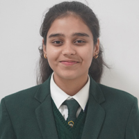 DPS Raj Nagar Extension - School Toppers